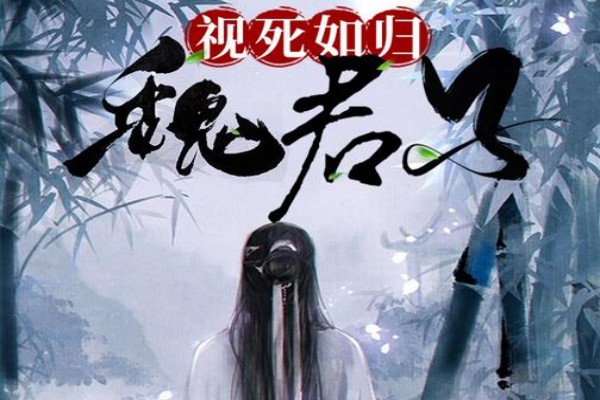 平层的《视死如归魏君子》书评（主角：魏君）-虎运文学