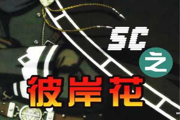 无罪的《SC之彼岸花》书评（主角：陈君）-虎运文学