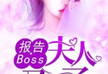 沈千歌阎默寒汤少龙小说叫什么（报告Boss：夫人又怀了免费阅读）-虎运文学