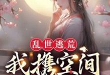 完结版《乱世逃荒：我携空间吃香喝辣》章节阅读-虎运文学