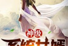 神级系统女婿免费阅读，神级系统女婿章节目录-虎运文学