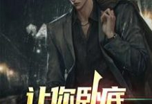 完结版《让你卧底，没让你当老大》章节阅读-虎运文学