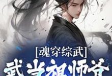 完结版《魂穿综武：武当祖师爷出山了》章节阅读-虎运文学