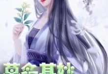 完结版《莫名其妙世子妃》免费阅读-虎运文学