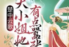 小说《楚中云歌：大小姐她有点嚣张》章节阅读-虎运文学