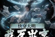 快穿大明：我反出京师对抗皇帝小说全文阅读需要付费吗？寻找免费资源-虎运文学