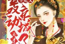 完结版《天才弃妃：王妃又轰动京城了》在线免费阅读-虎运文学