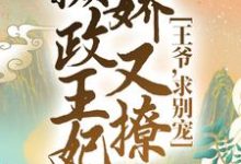 完结版《摄政王妃娇又撩：王爷，求别宠！》在线免费阅读-虎运文学