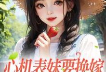 完结版《心机表妹要换嫁，我笑着同意》章节目录在线阅读-虎运文学