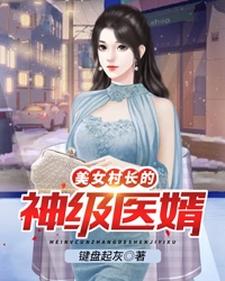 美女村长的神级医婿小说，美女村长的神级医婿免费阅读