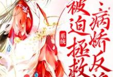 完结版《系统：被迫拯救病娇反派》章节阅读-虎运文学