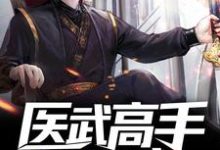 完结版《医武高手混都市》免费阅读-虎运文学