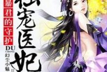 施颜慕容澈小说《暴君的守护：独宠医妃》在线阅读-虎运文学