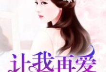 完结版《让我再爱你一次》章节目录在线阅读-虎运文学