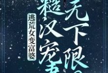 苏晚晚沈渊小说《逃荒女变富婆：糙汉宠妻无下限？》在线阅读-虎运文学