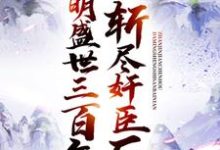 小说《斩尽奸臣后，大明盛世三百年》章节免费阅读-虎运文学