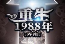 主角刘天齐张雨欣小说重生1988年免费阅读-虎运文学