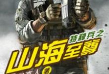 特种兵之山海至尊小说阅读，特种兵之山海至尊完结版-虎运文学