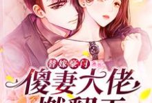 《替嫁豪门：傻妻大佬燃翻天》全集免费在线阅读（阮时笙穆远霆）-虎运文学