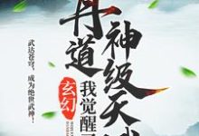 玄幻：我觉醒了丹道神级天赋小说无弹窗阅读的网站推荐-虎运文学