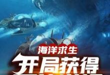 完结版《海洋求生：开局获得百倍增幅》在线免费阅读-虎运文学