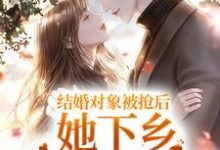 已完结小说《结婚对象被抢后，她下乡闪婚双胎了》章节在线阅读-虎运文学