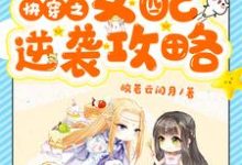 完结版《快穿之女配逆袭攻略》章节阅读-虎运文学