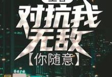 完结版《王者：对抗我无敌，你随意》免费阅读-虎运文学