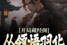 完结版《开局藏经阁，从领悟羽化不朽诀开始》章节阅读-虎运文学