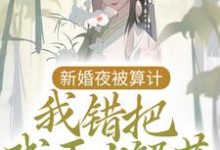 小说《新婚夜被算计，我错把残王当解药》章节免费阅读-虎运文学