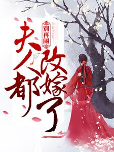 完结版《别再闹！夫人都改嫁了》在线免费阅读