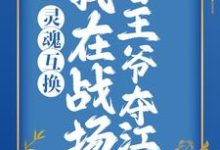 完结版《灵魂互换：我在战场替王爷夺江山》章节阅读-虎运文学