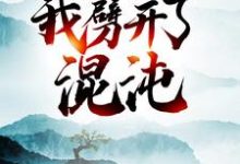 小说《大劫后，我劈开了混沌》章节阅读-虎运文学