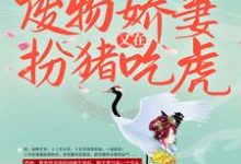 小说《战王接嫁：废物娇妻又在扮猪吃虎》章节免费阅读-虎运文学