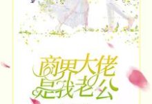 完结版《商界大佬是我老公》在线免费阅读-虎运文学