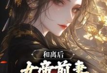 小说《和离后，女帝前妻求我帮她守国》在线章节阅读-虎运文学