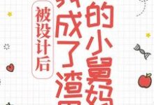 喻岁时宴知为主角的小说好看吗？求被设计后，我成了渣男的小舅妈免费试读-虎运文学