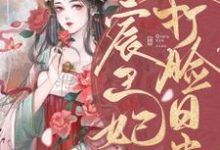 《宸王妃打脸日常》小说章节列表免费试读，沈棠南宫宸小说在线阅读-虎运文学