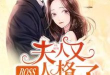 小说《BOSS，夫人又人格分裂了》章节阅读-虎运文学