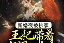 《新婚夜被抄家，王妃带着空间入皇宫》全集免费在线阅读（苏云宛秦君屹）-虎运文学