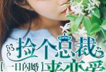 已完结小说《一日闪婚：捡个总裁来恋爱》章节免费阅读-虎运文学