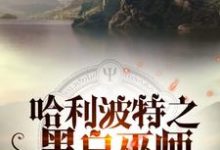 哈利波特之黑白巫师小说最新章节在哪里可以读到？-虎运文学