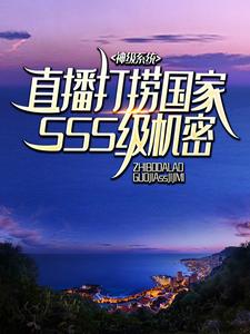 小说《神级系统：直播打捞国家SSS级机密》章节免费阅读