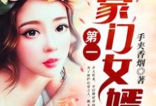 《第一豪门女婿》小说大结局免费试读 叶南风秦雪小说-虎运文学