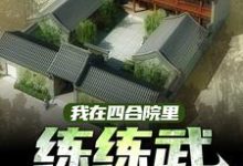 完结版《我在四合院里练练武，搞科研》章节目录在线阅读-虎运文学