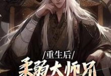 完结版《重生后，柔弱大师兄变成冷面修罗了》章节阅读-虎运文学