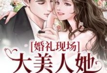 婚礼现场，大美人她喜提绿帽秦悦黎焰小说免费阅读-虎运文学