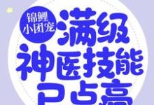 小说《锦鲤小团宠：满级神医技能已点亮》章节阅读-虎运文学