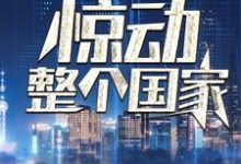 完结版《我一通电话，惊动整个国家》章节阅读-虎运文学