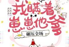 小说《豪门团宠：我瞒着崽崽他爹，碾压全场！》在线章节阅读-虎运文学